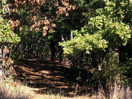 Tbd County Road, Couch, MO, 65690 | Card Image