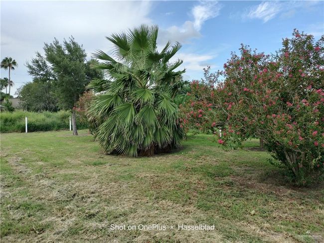 9458 Charles Green Rd, House other with 3 bedrooms, 2 bathrooms and null parking in Edcouch TX | Image 12