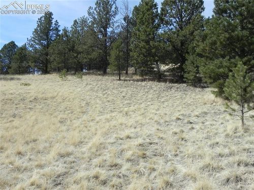 1058 Monarch Dr, Cripple Creek, CO, 80813 | Card Image