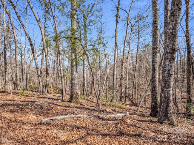 21-24-AND-25 - 000 Forester Ln, Home with 0 bedrooms, 0 bathrooms and null parking in Mill Spring NC | Image 14