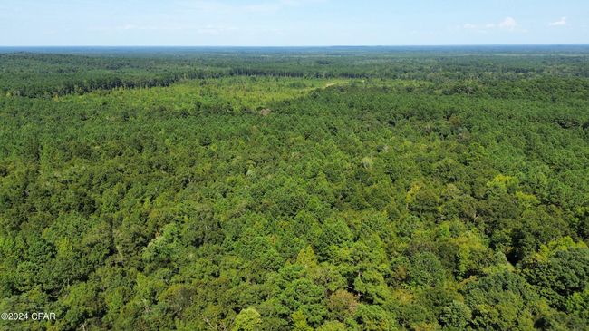 00 Knox Hill Rd, Home with 0 bedrooms, 0 bathrooms and null parking in Ponce De Leon FL | Image 6