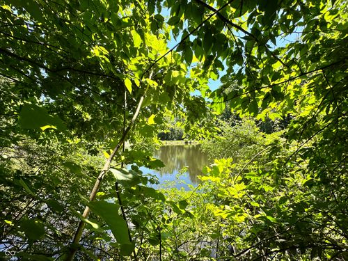 2925 Fox Ct E, Martinsville, IN, 46151-8273 | Card Image