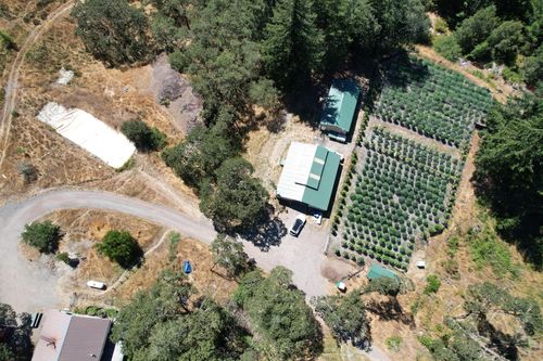 41555 State Highway 36, Bridgeville, CA, 95526-9603 | Card Image