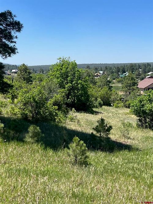 269 Dylan Dr, Pagosa Springs, CO, 81147 | Card Image