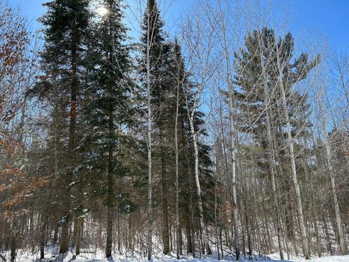 TBD 36th St Nw, Akeley, MN, 56433 | Card Image