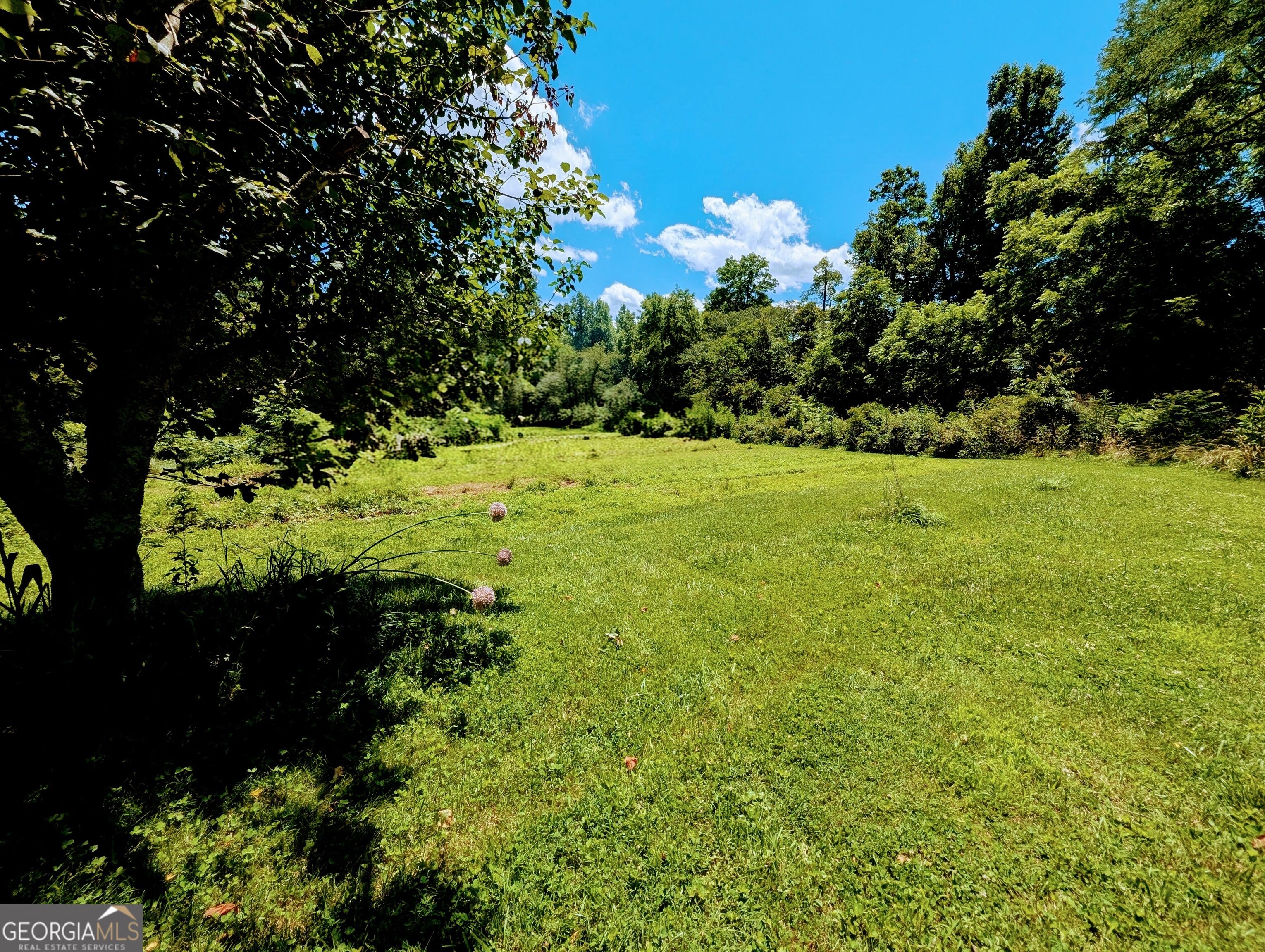 Residential in Hayesville 4