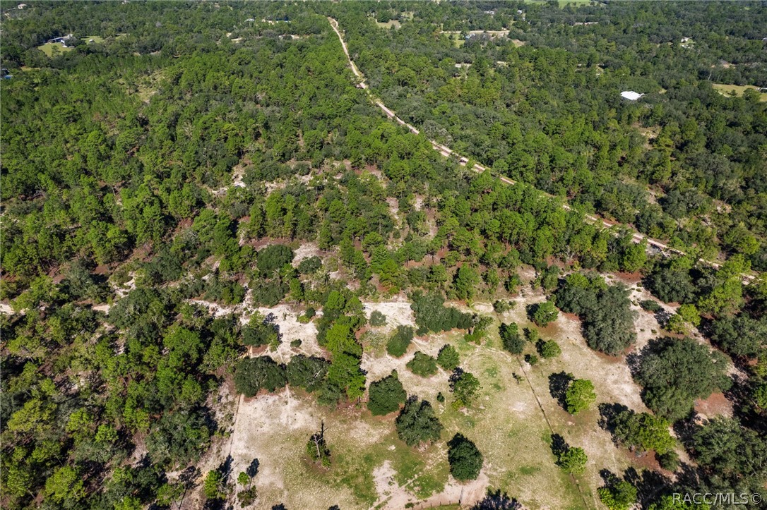 Land in Dunnellon 3