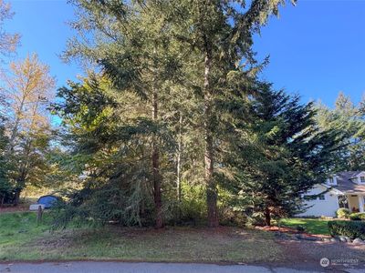 345 Dungeness Meadows, Home with 0 bedrooms, 0 bathrooms and null parking in Sequim WA | Image 2