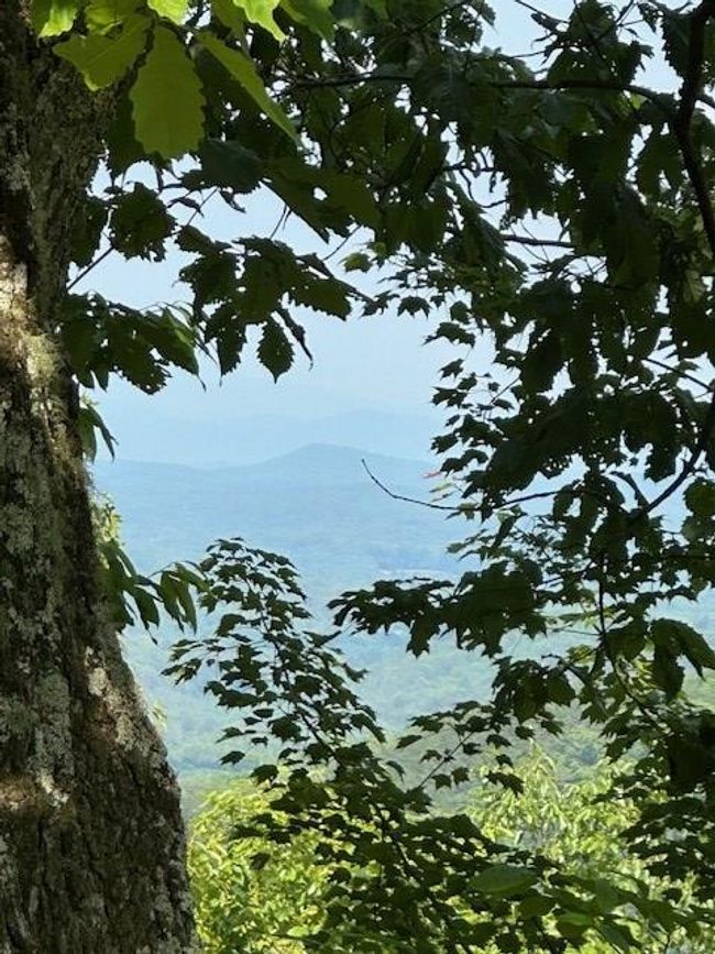 16 Ac Campbell Cove Creek Rd, Home with 0 bedrooms, 0 bathrooms and null parking in Turtletown TN | Image 9