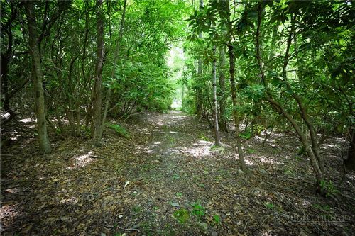 Lot 2 Gusher Knob Rd, Spruce Pine, NC, 28777-6208 | Card Image