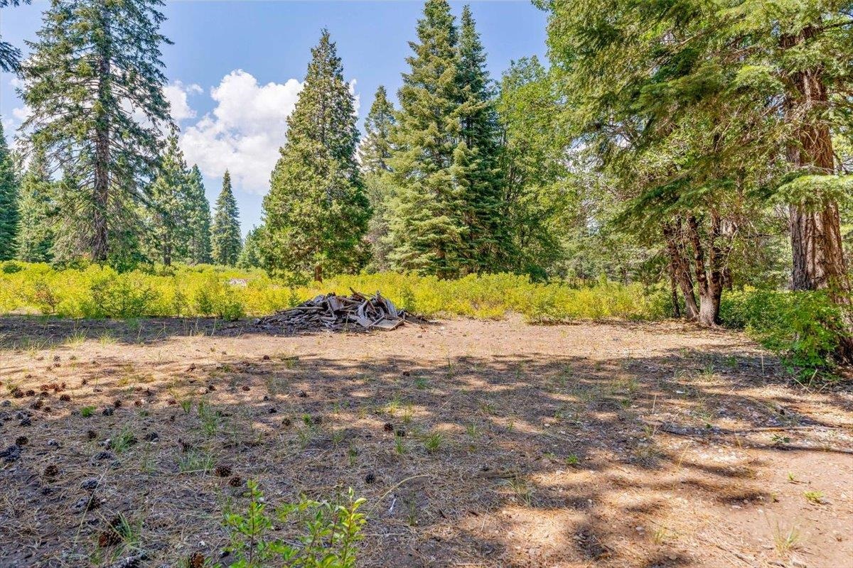 Land in McCloud 4