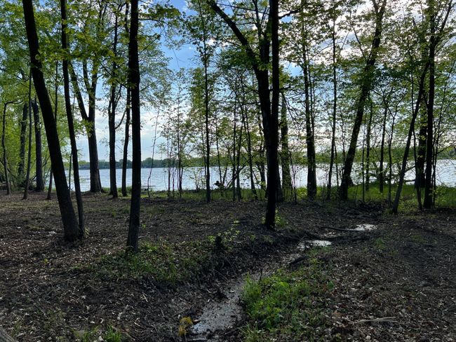 000 Cross Lake Rd, Home with 0 bedrooms, 0 bathrooms and null parking in Pine City MN | Image 18