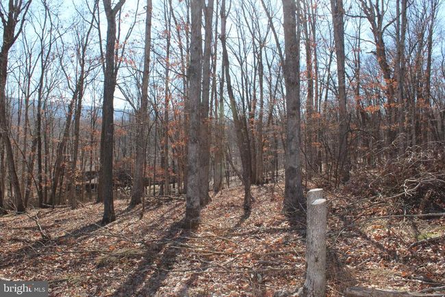141 Hillcrest Dr, Home with 0 bedrooms, 0 bathrooms and null parking in New Creek WV | Image 12