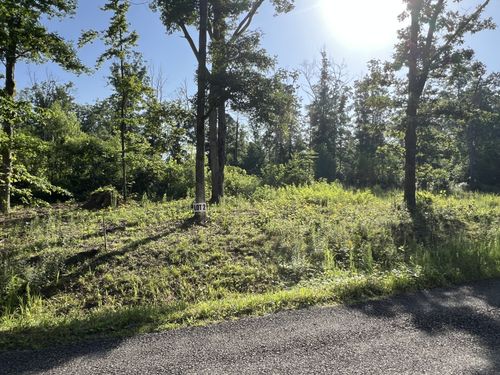 2 Slaughter Rd, Primm Springs, TN, 38476 | Card Image