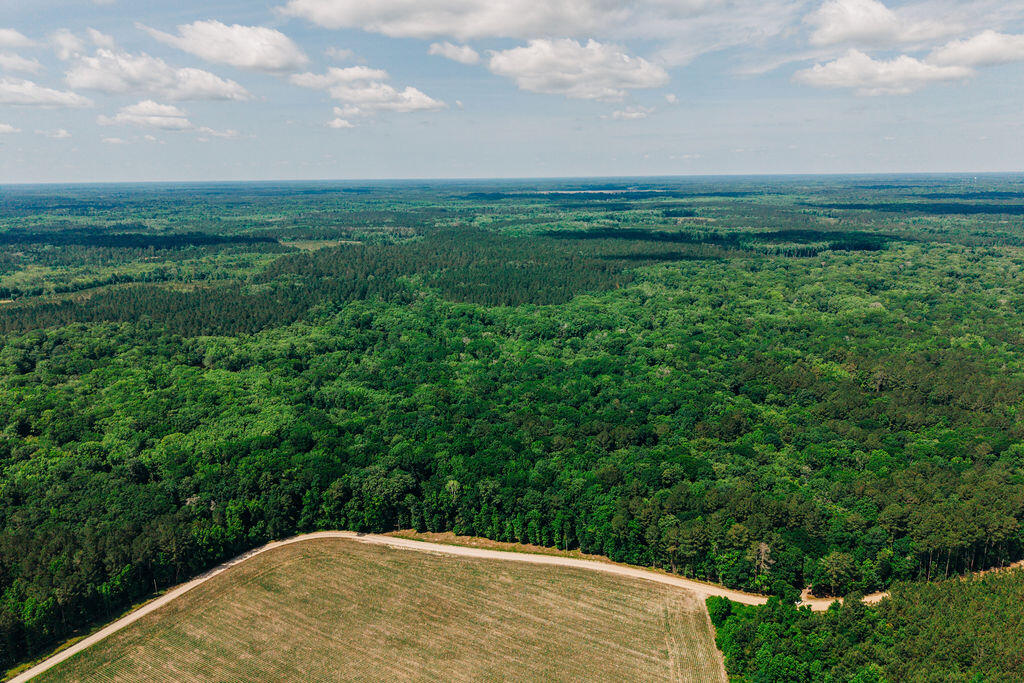 Land in Cope 3