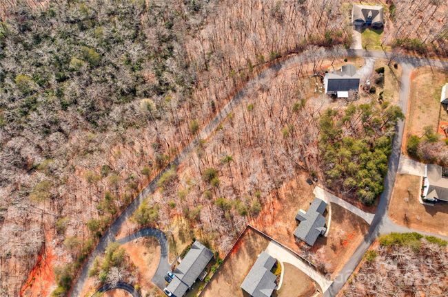 Lot 46 Dublin Ln, Home with 0 bedrooms, 0 bathrooms and null parking in Columbus NC | Image 5