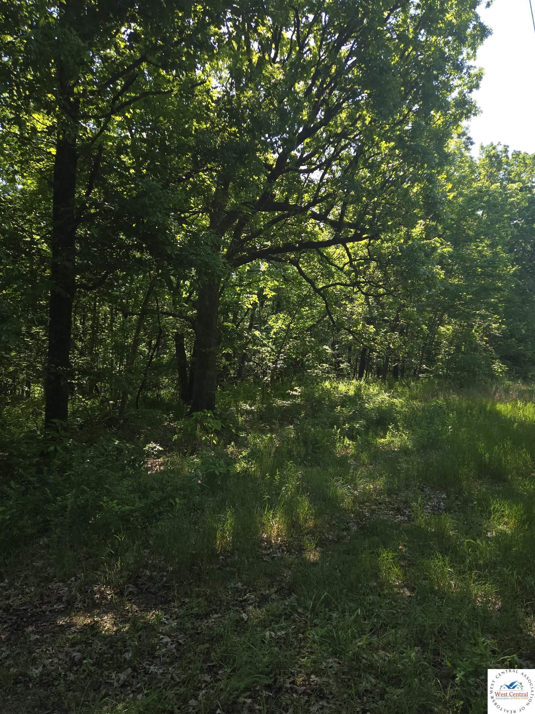 Land in Osceola 3