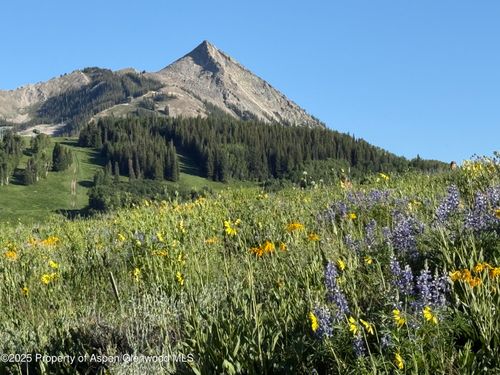TDR Aspen Vlg, Aspen, CO, 81611 | Card Image