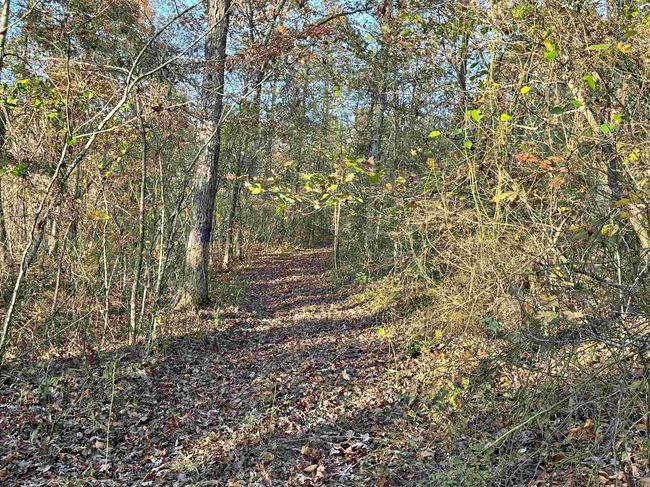 8997 Highway 9, House other with 2 bedrooms, 2 bathrooms and null parking in Mountain View AR | Image 46