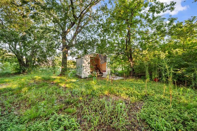 View of yard with a shed and view of scattered trees | Image 36