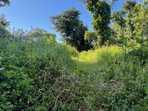 15-2714 Hou St, PAHOA, HI, 96778-9423 | Card Image