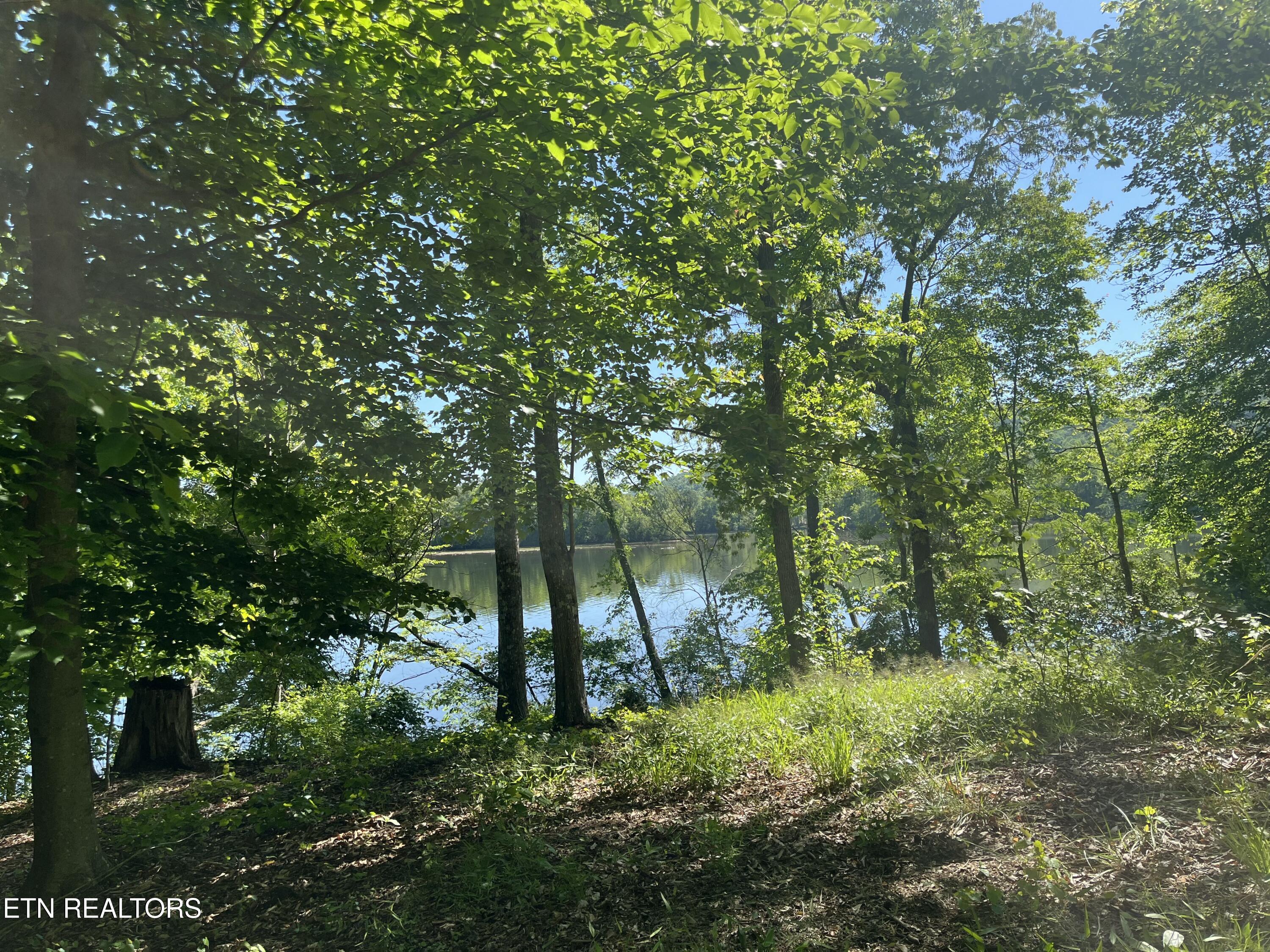 Land in Harriman 2
