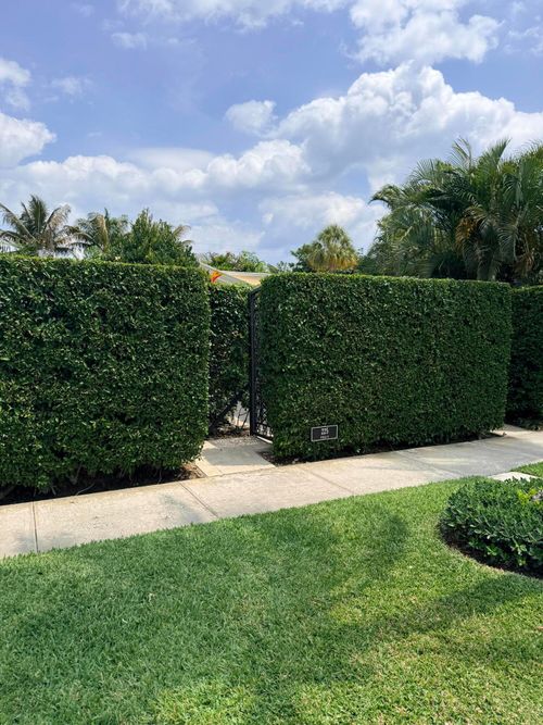 villa-6-225 Everglade Ave, Palm Beach, FL, 33480-7417 | Card Image