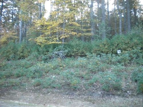 Lot 5 Pine Chase, Glade Valley, NC, 28627 | Card Image