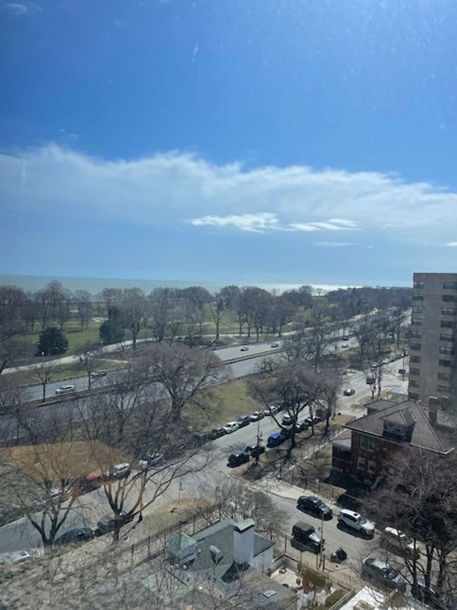 APT-1106 - 4250 N Marine Dr, Condo with 1 bedrooms, 1 bathrooms and 1 parking in Chicago IL | Image 23