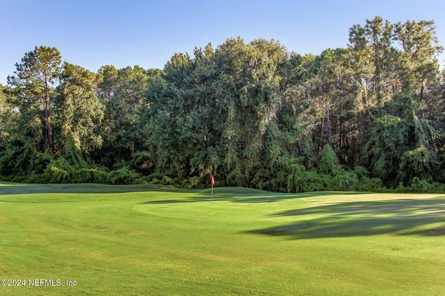 3399 Olympic Dr, House other with 4 bedrooms, 3 bathrooms and null parking in GREEN COVE SPRINGS FL | Image 96