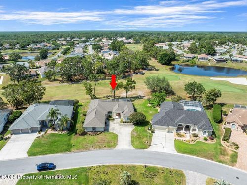 9216 Tarleton Cir, Weeki Wachee, FL, 34613-4060 | Card Image
