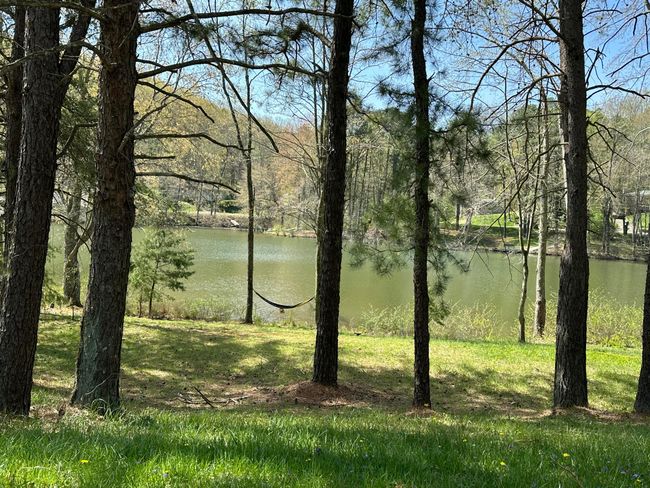 Around the lake! | Image 17
