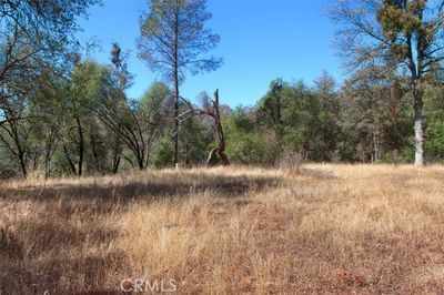 2.03 AC Road 425 C, Home with 0 bedrooms, 0 bathrooms and null parking in Coarsegold CA | Image 2