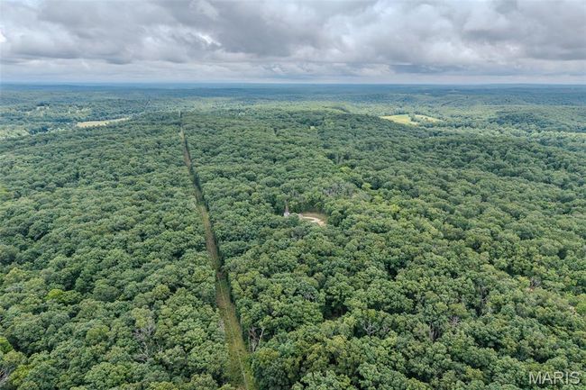 Aerial view of a forest | Image 75