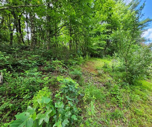 TBD Hickory Hollow Rd, Copper Hill, VA, 24079 | Card Image