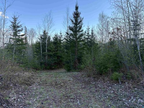 0000 Mertig Rd, Glidden, WI, 54527 | Card Image