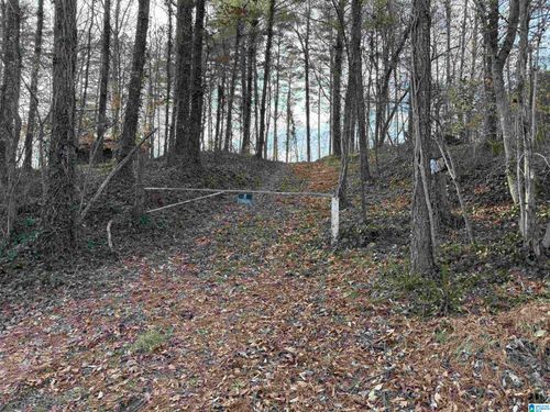 --0 Old Georgia Road, Heflin, AL, 36264 | Card Image