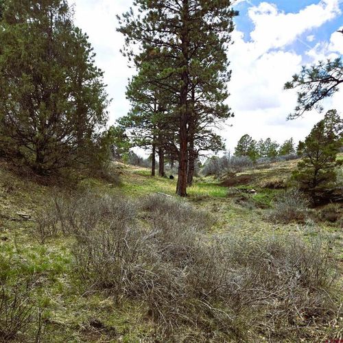 3 N Avalon Dr, Norwood, CO, 81423 | Card Image