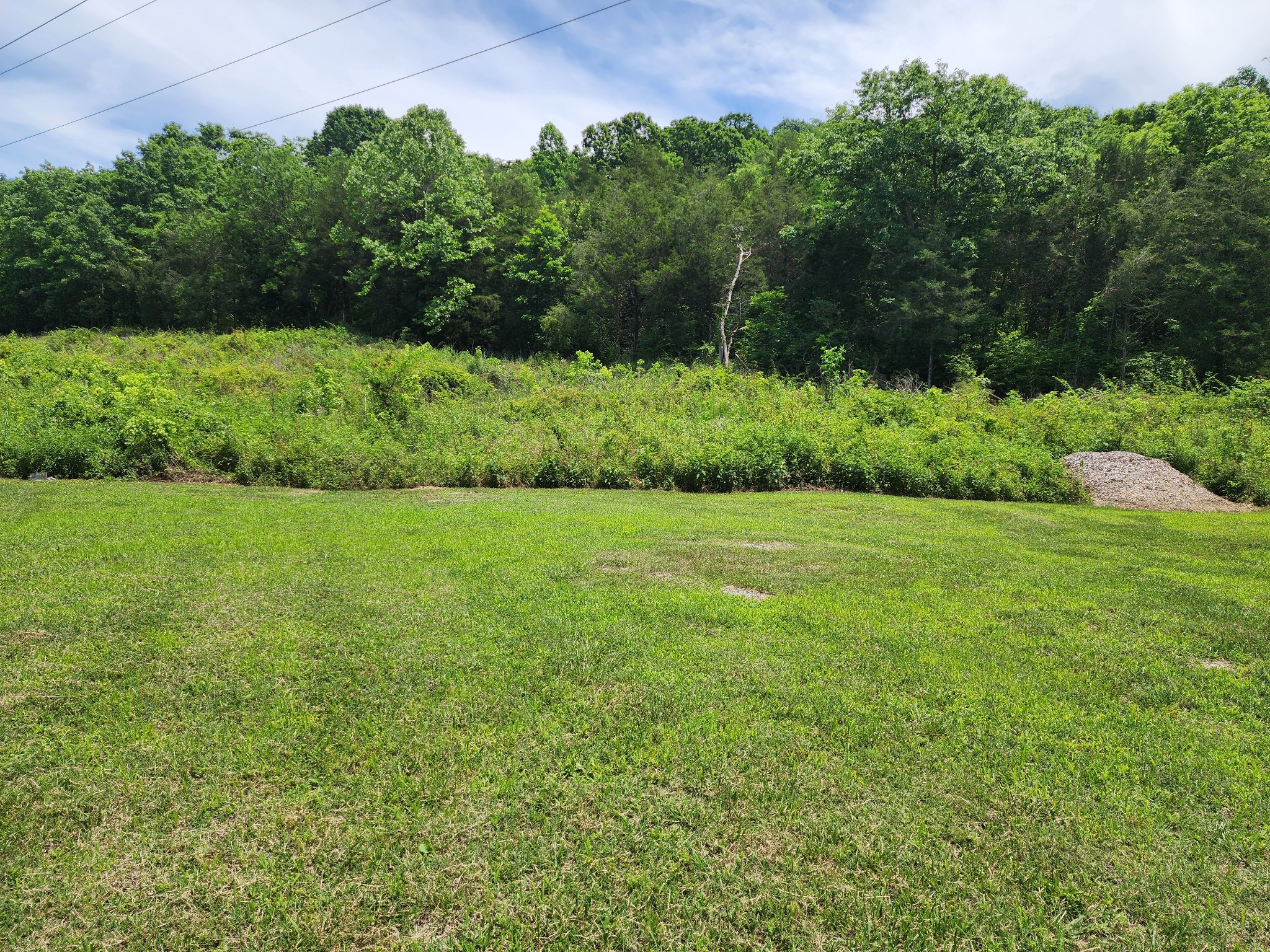 Land in Hartsville 5