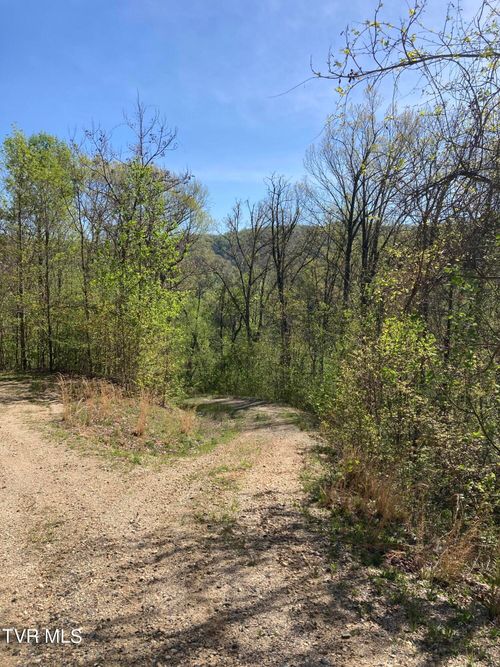Tbd Tulip Poplar Trl, Butler, TN, 37640 | Card Image