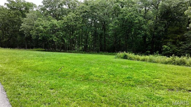View of yard featuring a view of trees | Image 32