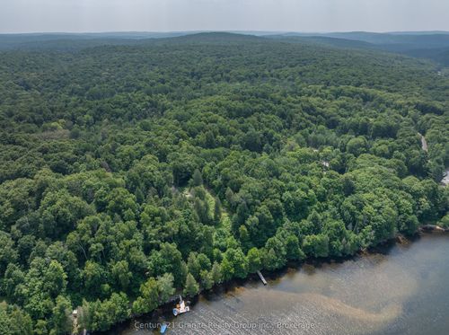 1059 Dunn Rd, Haliburton, ON, K0M1S0 | Card Image