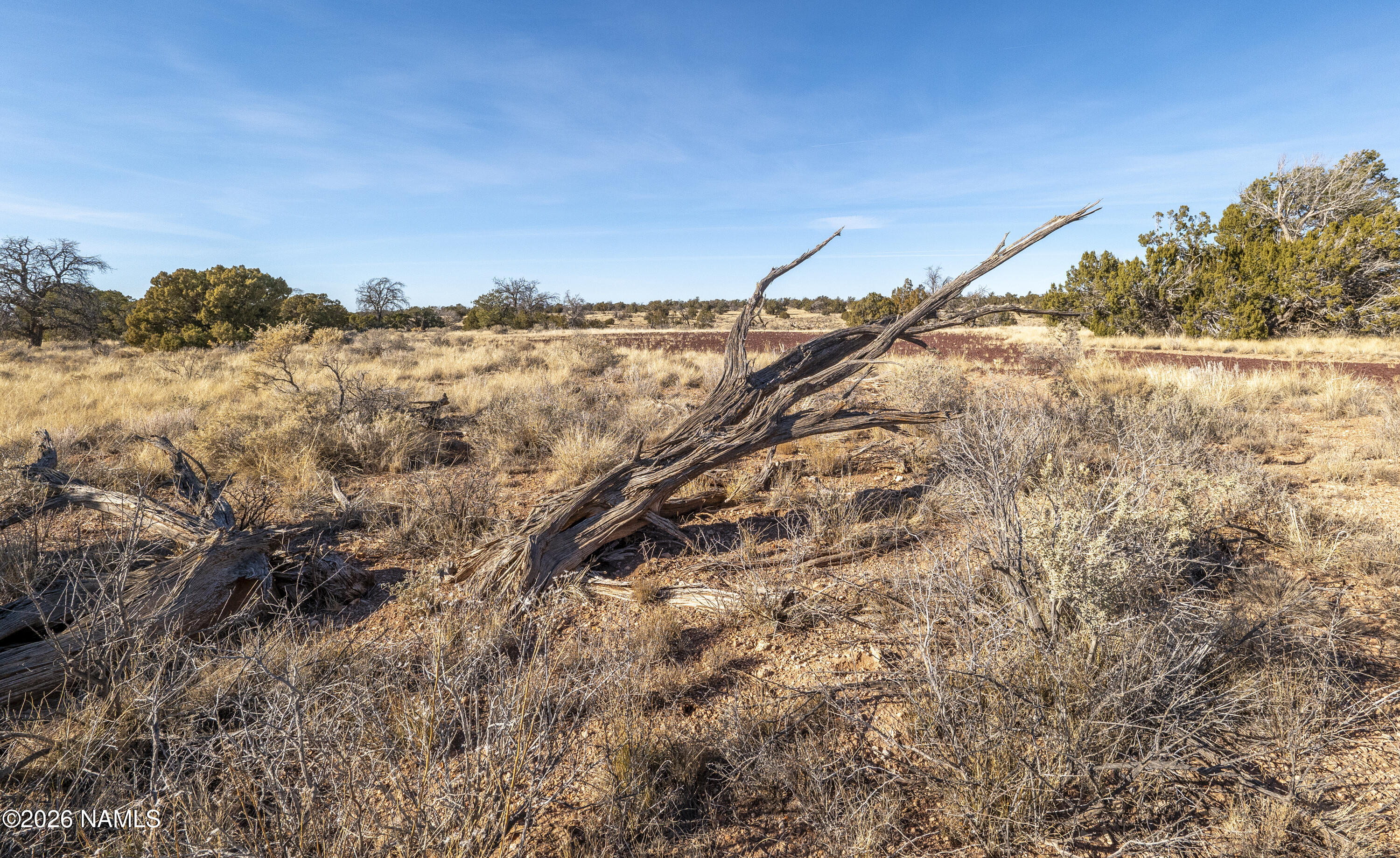 Land in Williams 5