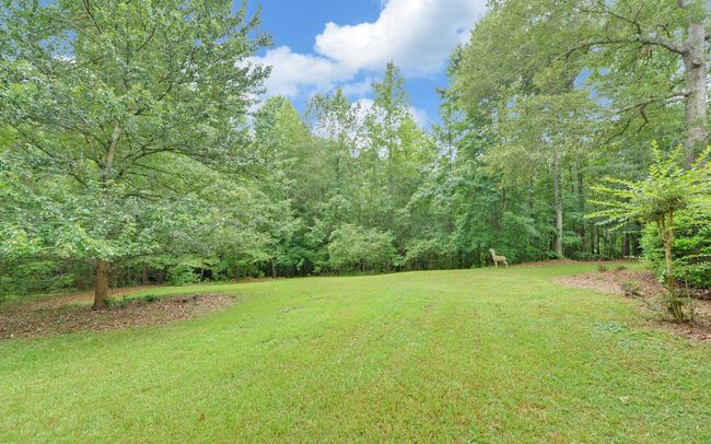 814 Brush Creek Rd, House other with 4 bedrooms, 3 bathrooms and 2 parking in Colbert GA | Image 35