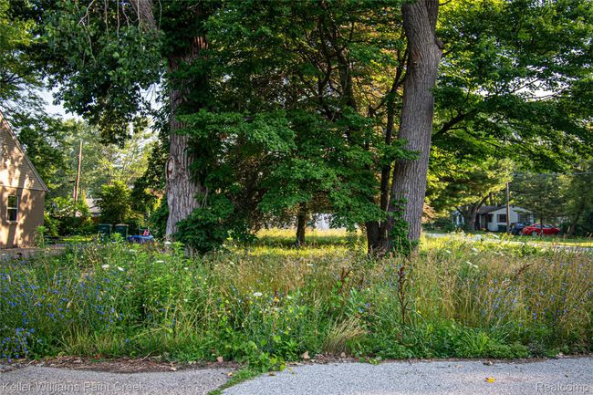 DSC_4089.jpg | Image 6