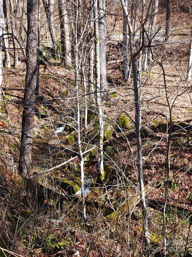 664 Woodfin Rd, House other with 2 bedrooms, 1 bathrooms and null parking in Sylva NC | Image 29