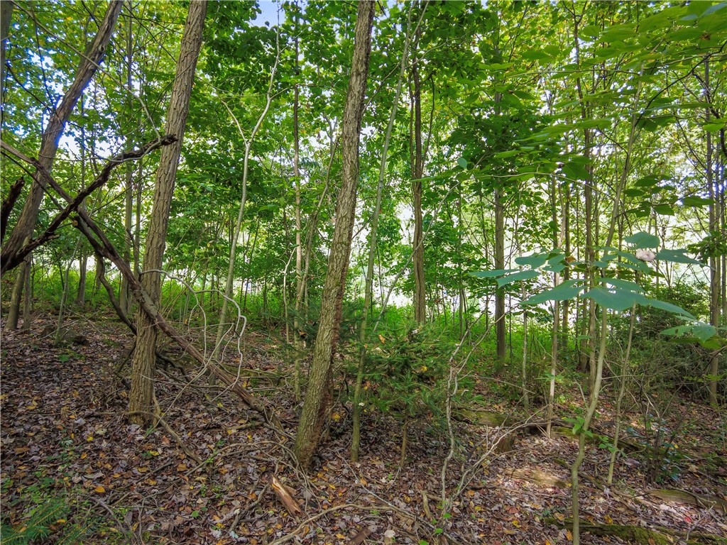 Farm in Chippewa Twp 4