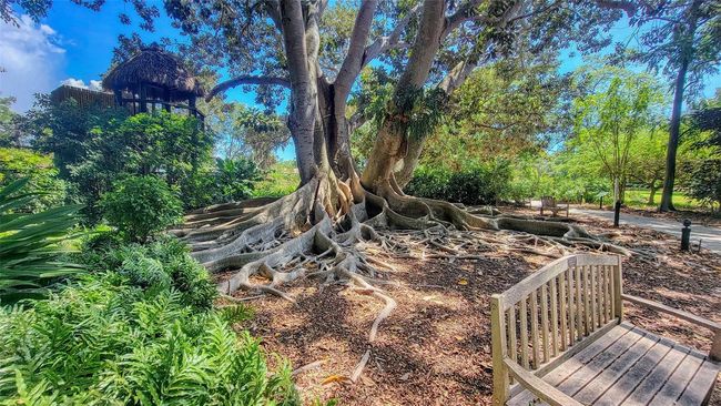 APT-310 - 835 S Osprey Ave, Condo with 2 bedrooms, 2 bathrooms and null parking in SARASOTA FL | Image 86