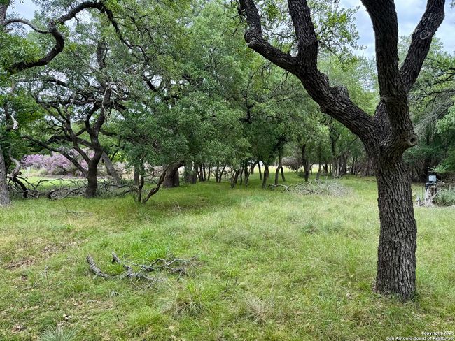 1187 Long Meadow, Home with 0 bedrooms, 0 bathrooms and null parking in Spring Branch TX | Image 18