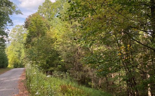 Lot 58 Gobblers Knob, Suches, GA, 30572 | Card Image